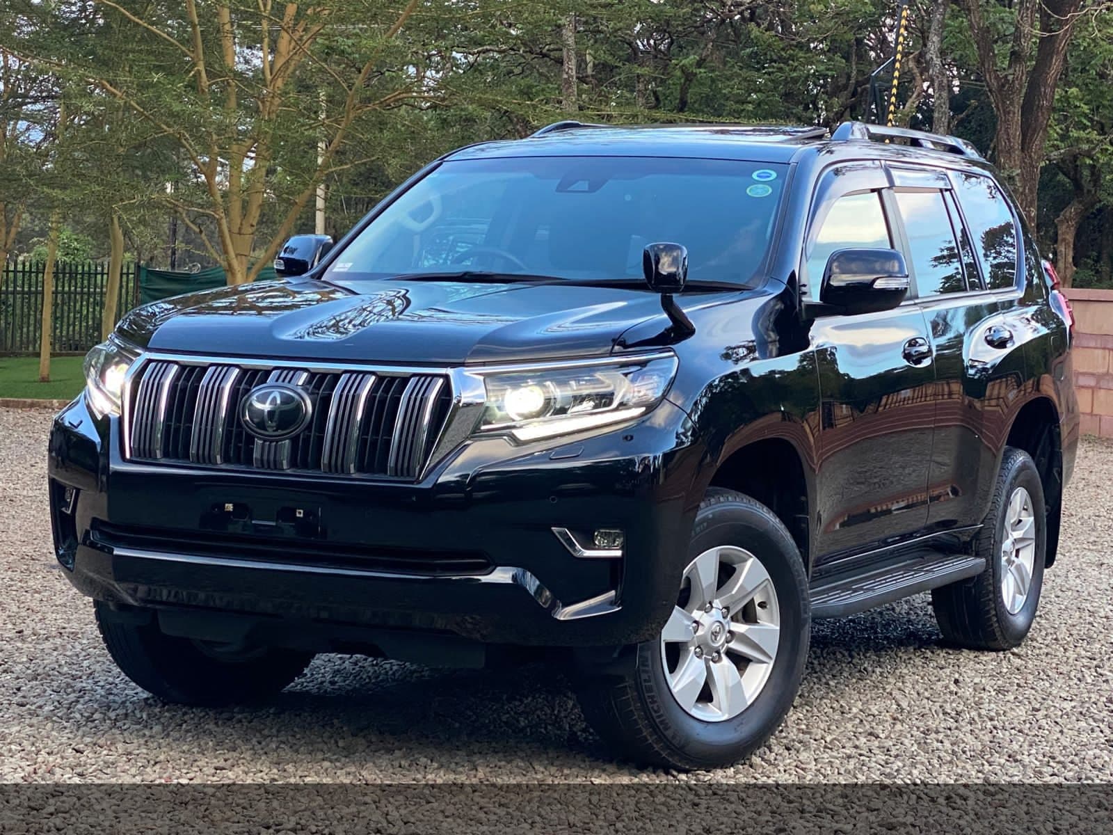 2019 Toyota Land Cruiser Prado image 2